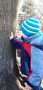 Zdjęcie przedstawia chłopca, który bada jaką strukturę ma kora drzewa.